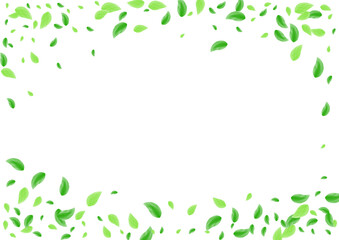 Greenish Foliage Background White Vector. Leaves Delicate Card. Pattern Design. Green Air Frame. Plant Icon.