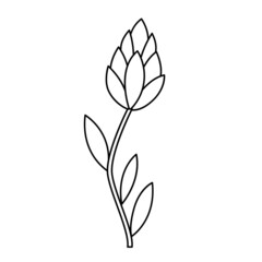 Contour black-and-white drawing of  blooming flower. Vector illustration. Coloring page.