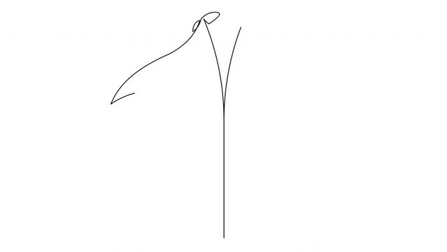 Self drawing simple animation of single continuous one line drawing of Manta Ray. Drawing by hand, black lines on a white background