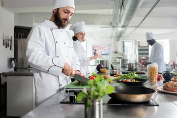 Gastronomy chef in restaurant kitchen preparing vegetable garnish for gourmet dish served at dinner service. Head cook cooking organic food meal using fresh herbs and spices.
