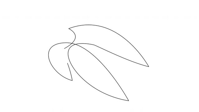 Self drawing simple animation of single continuous one line drawing of sea turtle. Drawing by hand, black lines on a white background.