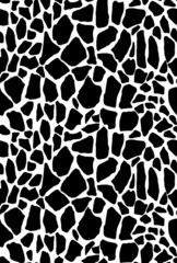 Obraz premium Seamless dalmatian pattern, animal print.