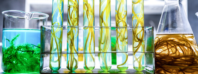 banner background of alga biotechnology research, algae experiment researching in laboratory for...
