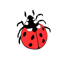 Vector bright red ladybug in flat style. Cute insect, isolated. Top view. Clipart, design element on theme of nature, spring, summer