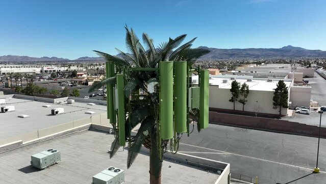Aerial 4K drone video of a 5G cell tower disguised to look like a palm tree in city