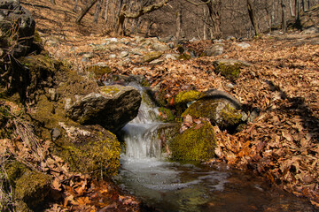 waterfall in the woods