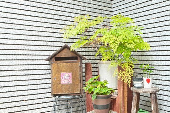 Courtyard outside a house,with a mailbox and green plants. 
