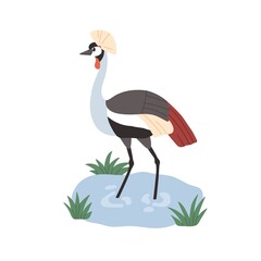 Naklejka premium Black-crowned crane with bristle on head. Wild African bird with multicolored feathers. Tropical savanna animal standing in water. Flat vector illustration isolated on white background