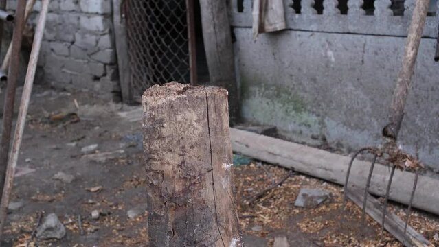 Cuts a wooden beam in half with an old ax