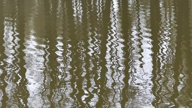 LUSTRZANE ODBICIA DRZEW W WODZIE. RUCHOME TŁO Z LUSTRZANYM ODBICIEM DRZEW W WODZIE.