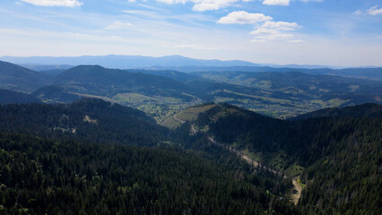 Fototapeta na wymiar Aerial Drone View Flight over pine tree forest in Mountain