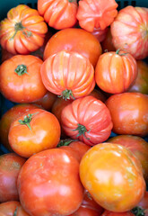 Tomates rojos en un mercado