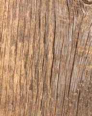 Textured wooden background from an old plank