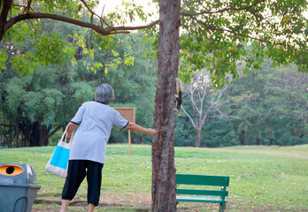 Grandmother feed the Brown squirrel on the tree, focus selective