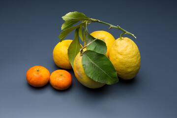 yellow lemon on gray background, composition of lemons and green leaves.