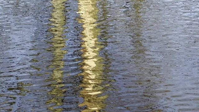 LUSTRZANE ODBICIA DRZEW W WODZIE. RUCHOME TŁO Z LUSTRZANYM ODBICIEM DRZEW W WODZIE.