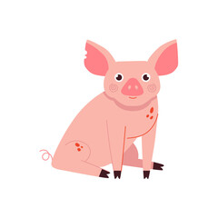 Cute pig cartoon vector illustration. Domestic farm animal character isolated on white background