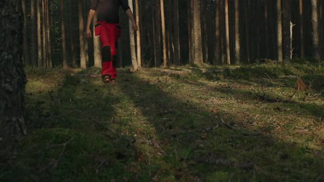 a man walks through the forest on a sunny day slow motion. High quality FullHD footage