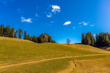 Entdeckungstour durch die Ravennaschlucht bei Breitnau - Baden-Württemberg - Deutschland