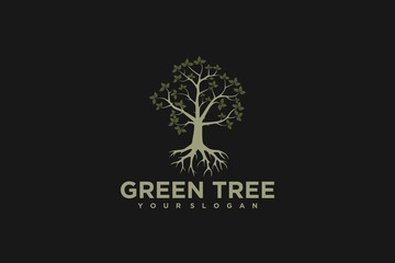 Fototapeta premium tree logo, nature logo, logo inspiration