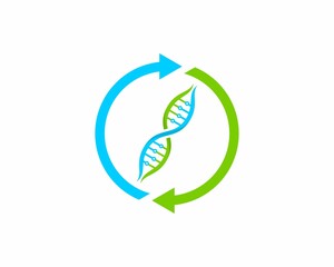 DNA helix inside the arrow rotation logo