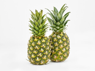 Two standing Pineapples - 495882011