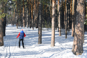 Man is skiing in a winter park. Winter sport. Ski track in the forest. Active people in nature. Copy space.