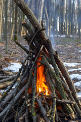 Campfire in the spring forest. Rest on the weekend. Danger of forest fires