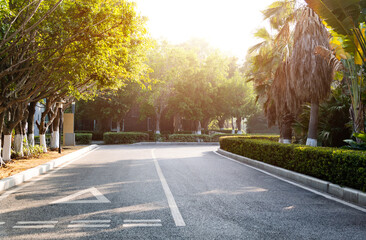 Asphalt road through the park