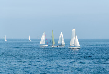 Group of sailboats in the sea
