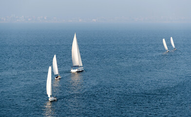 Group of sailboats in the sea