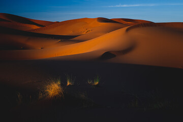 sunrise in the desert