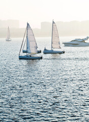 Obraz premium Sailboats in the sea at sunset