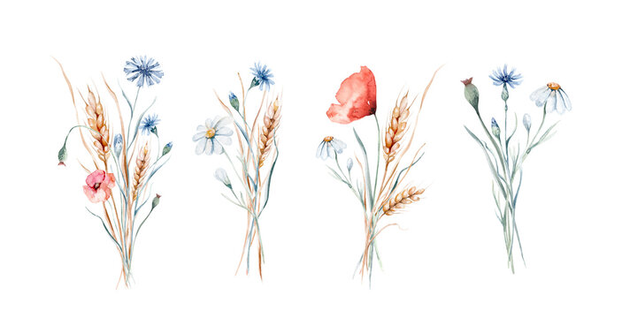 Watercolor wildflowers bouquets and frames with poppy, cornflower chamomile, rye and wheat spikelets background