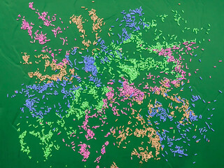 Texture of multi colored sugar sprinkles on green background