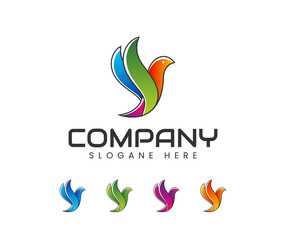 Bird logo design vector template. Creative abstract bird logo