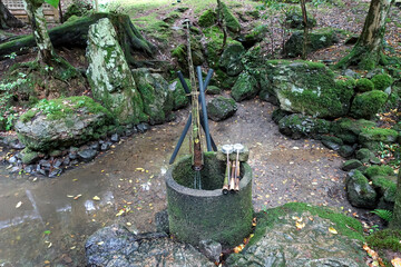 若狭彦神社 手水鉢と苔むした岩