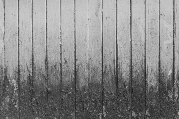 Board dirty old weathered surface with white paint. Wood fence texture obsolete background