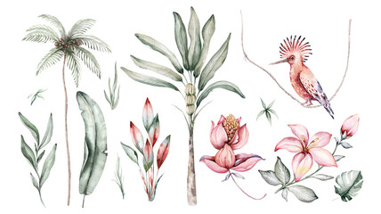 Tropical watercolor set birds hummingbird, monkey and jaguar, exotic jungle plants palm banana leaves flowers, flamingo pastel color seamless fabric background - 495887650