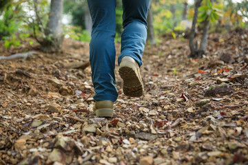 Legs hiking in spring forest mountain