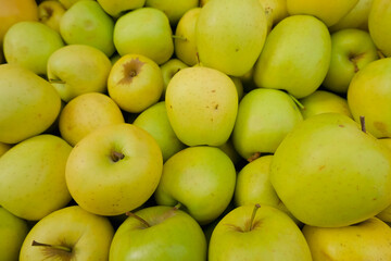 closeup green and yellow fresh apples in a market. organic agriculture and healthy food concept. summer vibes, fruits background