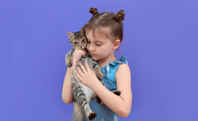 Child is playing with a baby cat. The child holds a gray cat with tenderness and love and smiles with happiness on a purple background. A girl hugging a pet. The concept of favorite pets