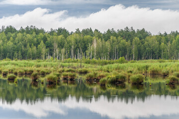 Fototapeta na wymiar Lake in the forest before the thunderstorm