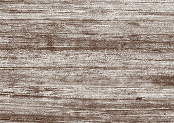 Obraz premium 樹皮アート