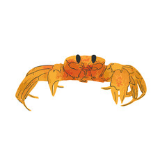 Red crab isolated on white background. Vector illustration.