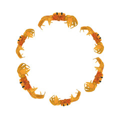 Crab vector frame. Isolated frame on white.Vector illustration crab on white background.