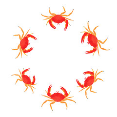 Crab vector frame. Isolated frame on white.Vector illustration crab on white background.