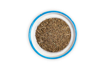 Pile of cumin seeds on ceramic white and blue plate white background, Top view
