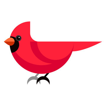recommend clip art: Cardinal bird cartoon style. Vector illustration on a white background