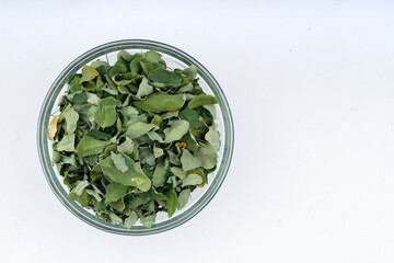 Moringa Leaves Dry (Moringa Oliefera) Drmskitch treev leaves over isolated white background